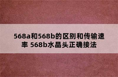 568a和568b的区别和传输速率 568b水晶头正确接法